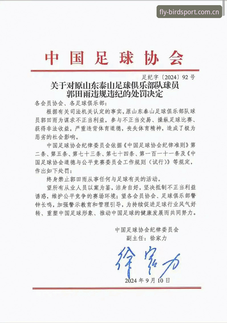 中国足协第三批禁足名单深度评测：65人重磅处罚背后的足球生态反思